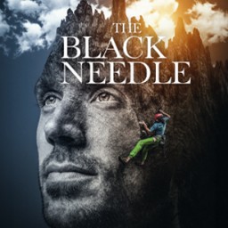 THE BLACK NEEDLE